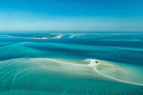 Sandy Straits Scenic & Wildlife Cruise - Accommodation BNB 5