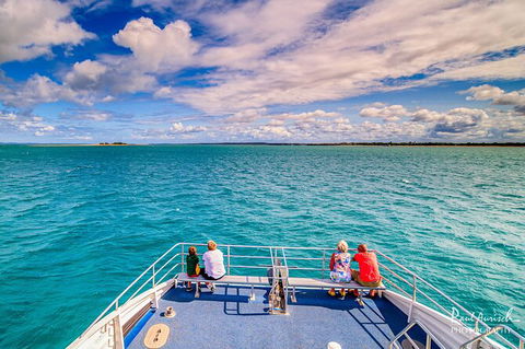 Sandy Straits Scenic & Wildlife Cruise - Accommodation BNB 7