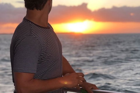 Sunset Twilight Cruise In Hervey Bay - Accommodation BNB 3