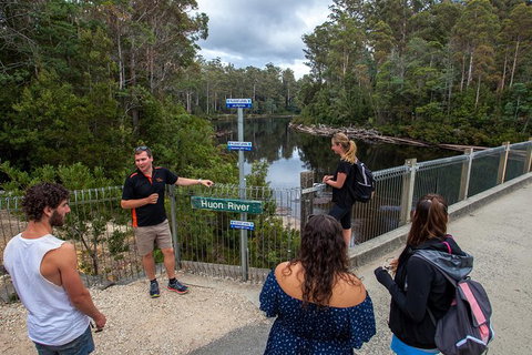 Tahune Airwalk Active Day Trip From Hobart Including Hastings Caves - Accommodation BNB 3