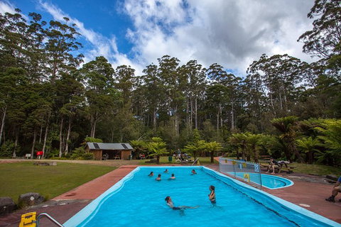Tahune Airwalk Active Day Trip From Hobart Including Hastings Caves - Accommodation BNB 2