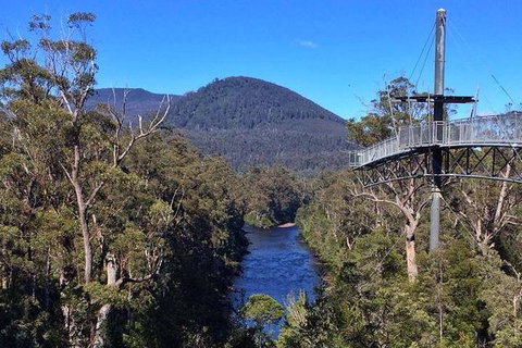 Tahune Airwalk Active Day Trip From Hobart Including Hastings Caves - Accommodation BNB 6