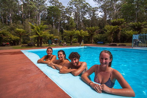 Tahune Airwalk Active Day Trip From Hobart Including Hastings Caves - Accommodation BNB 4