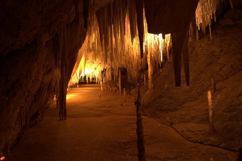 Tahune Airwalk Active Day Trip From Hobart Including Hastings Caves - Accommodation BNB 8