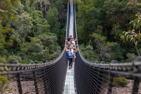 Tahune Airwalk Active Day Trip From Hobart Including Hastings Caves - Accommodation BNB 0