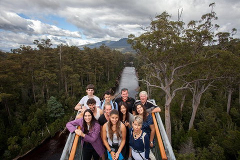 Tahune Airwalk Active Day Trip From Hobart Including Hastings Caves - Accommodation BNB 1