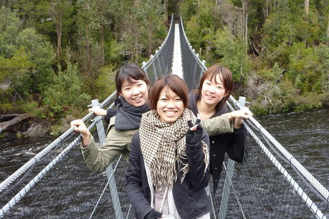 Tahune Airwalk Active Day Trip From Hobart Including Hastings Caves - Accommodation BNB 7