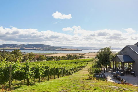 Launceston Wine & Sightseeing Tours - Accommodation BNB 0