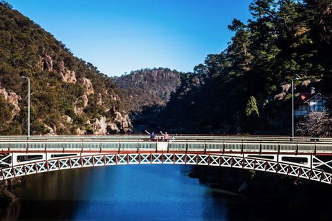 3.5 Hours Walking Tour To Cataract Gorge With Local Guide - Accommodation BNB 5