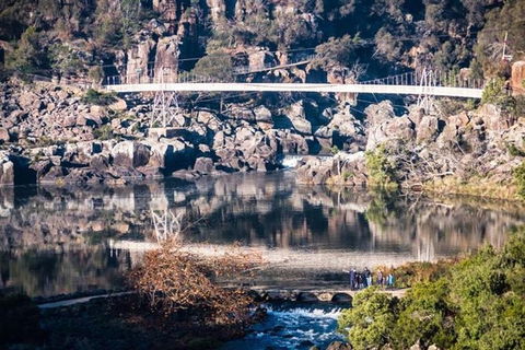 3.5 Hours Walking Tour To Cataract Gorge With Local Guide - Accommodation BNB 2