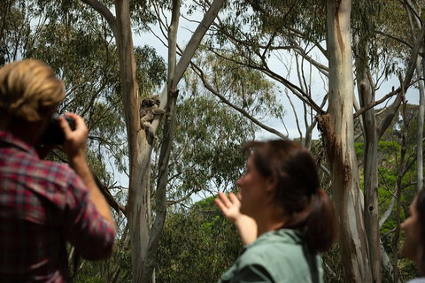 Indigenous Culture And Nature Tour - Accommodation BNB 2