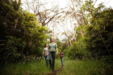 Indigenous Culture And Nature Tour - Accommodation BNB 6