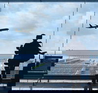 Private Transfer Avalon International Airport AVV to Melbourne - Accommodation BNB