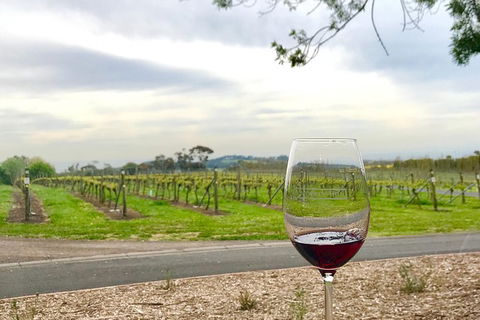 Cycle Tour | Guided | Bellarine Peninsula Victoria | Food & Wine Region - Accommodation BNB 2