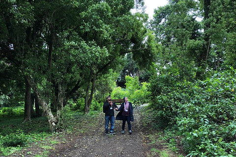 Alices Journeys Guided Walking Tours Of Daylesford - Accommodation BNB 5