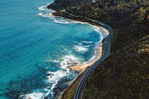 Private Great Ocean Road And Chocolaterie Tour With Tasting - Accommodation BNB 6