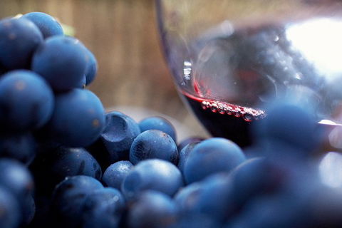 Mornington Peninsula 2-6 Guests Lunch, Wine And Pt Leo Estate Art Walk - Accommodation BNB 7