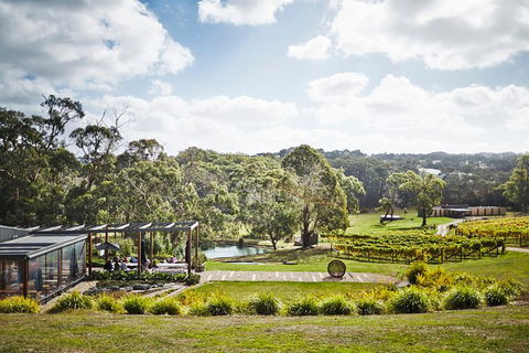 Mornington Peninsula 2-6 Guests Lunch, Wine And Pt Leo Estate Art Walk - Accommodation BNB 2