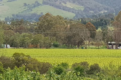 Day Tour Of Yarra Valley Puffing Billy And Rayners Orchard - Accommodation BNB 44