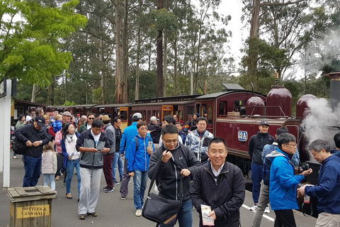 Day Tour Of Yarra Valley Puffing Billy And Rayners Orchard - Accommodation BNB 3