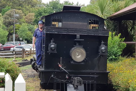 Day Tour Of Yarra Valley Puffing Billy And Rayners Orchard - Accommodation BNB 11