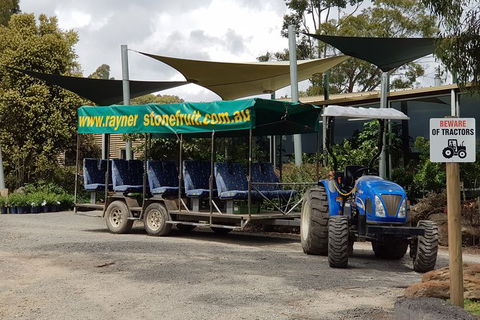 Day Tour Of Yarra Valley Puffing Billy And Rayners Orchard - Accommodation BNB 17