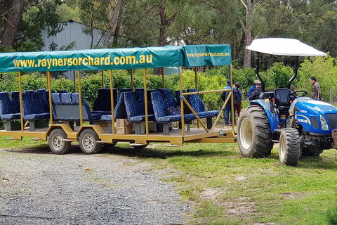 Day Tour Of Yarra Valley Puffing Billy And Rayners Orchard - Accommodation BNB 48