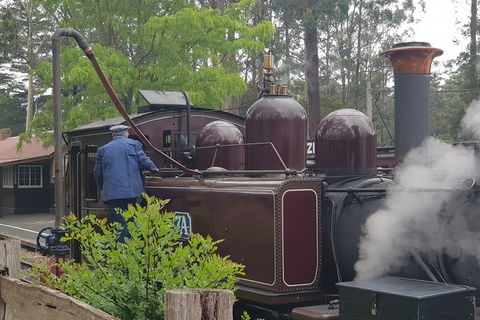 Day Tour Of Yarra Valley Puffing Billy And Rayners Orchard - Accommodation BNB 5