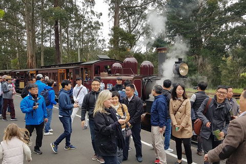 Day Tour Of Yarra Valley Puffing Billy And Rayners Orchard - Accommodation BNB 18