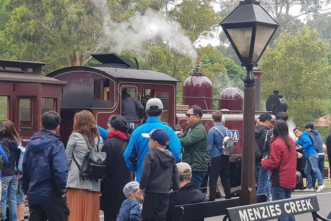 Day Tour Of Yarra Valley Puffing Billy And Rayners Orchard - Accommodation BNB 40