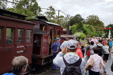 Day Tour Of Yarra Valley Puffing Billy And Rayners Orchard - Accommodation BNB 23