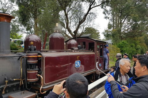 Day Tour Of Yarra Valley Puffing Billy And Rayners Orchard - Accommodation BNB 28