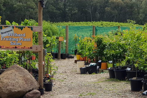 Day Tour Of Yarra Valley Puffing Billy And Rayners Orchard - Accommodation BNB 22