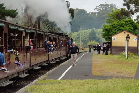 Day Tour Of Yarra Valley Puffing Billy And Rayners Orchard - Accommodation BNB 0