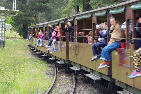 Day Tour Of Yarra Valley Puffing Billy And Rayners Orchard - Accommodation BNB 13