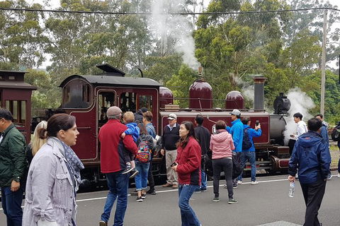 Day Tour Of Yarra Valley Puffing Billy And Rayners Orchard - Accommodation BNB 4