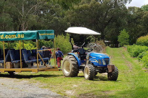 Day Tour Of Yarra Valley Puffing Billy And Rayners Orchard - Accommodation BNB 25