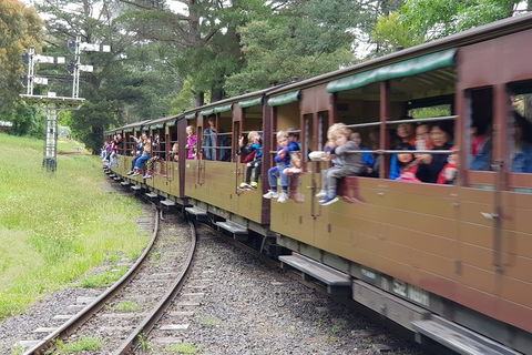 Day Tour Of Yarra Valley Puffing Billy And Rayners Orchard - Accommodation BNB 24