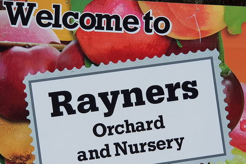 Day Tour Of Yarra Valley Puffing Billy And Rayners Orchard - Accommodation BNB 20