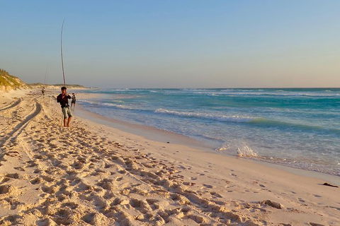 Half-Day Beach Fishing Safari - Accommodation BNB 25