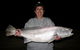 Half-Day Beach Fishing Safari - thumb 16