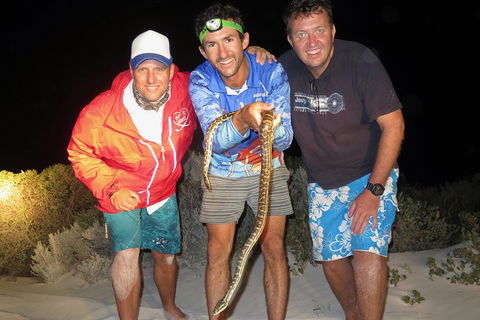 Half-Day Beach Fishing Safari - Accommodation BNB 34