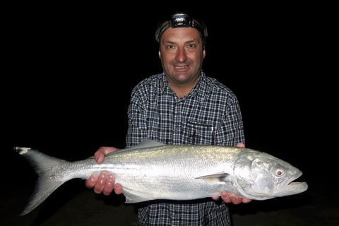 Half-Day Beach Fishing Safari - Accommodation BNB 33
