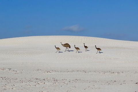 Half-Day Beach Fishing Safari - Accommodation BNB 15