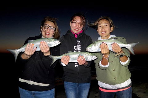 Half-Day Beach Fishing Safari - Accommodation BNB 8