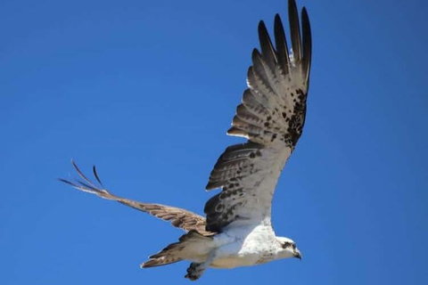 Romance Aircraft Flight + Scenic Tour + 3 Course Lunch + Beer Tasting + Hamper - Accommodation BNB 4