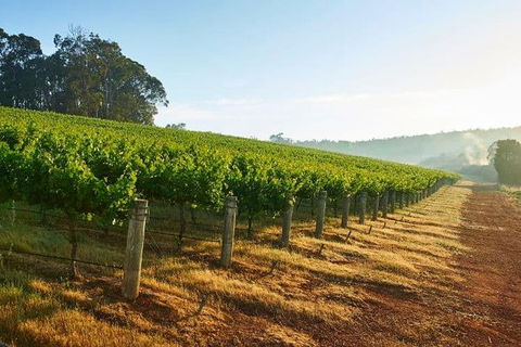 Botanical Gardens, Winery And Scenic Full Day Tour - Accommodation BNB 2