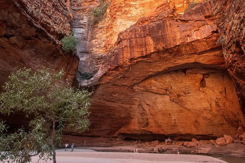 Bungles Day Trek Extended (with Echidna Chasm) - Accommodation BNB 0
