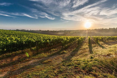 Perth To Margaret River Wine Tour - 2 Day Premium Boutique Wine Tour Experience - Accommodation BNB 0