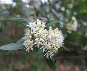 Brundee NSW Accommodation BNB